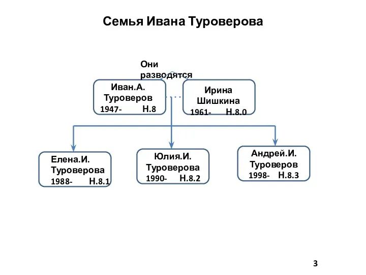 Семья Ивана Туроверова Иван.А. Туроверов 1947- Н.8 Ирина Шишкина 1961- Н.8.0 Елена.И.