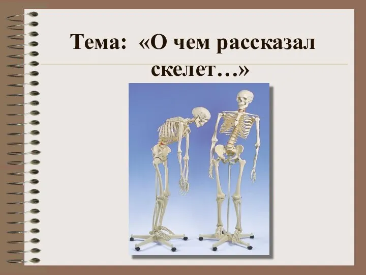 Тема: «О чем рассказал скелет…»