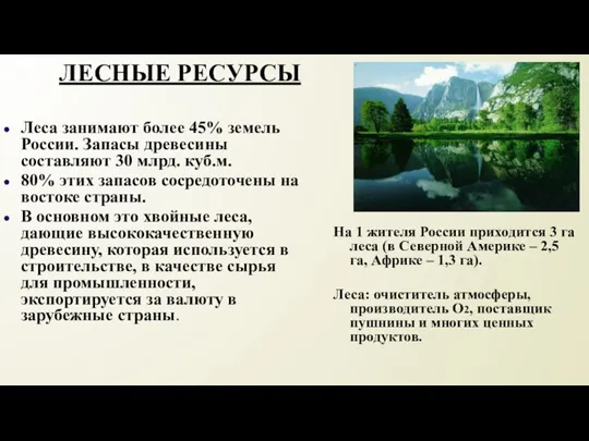 ЛЕСНЫЕ РЕСУРСЫ Леса занимают более 45% земель России. Запасы древесины составляют 30