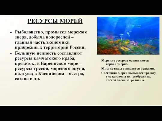 РЕСУРСЫ МОРЕЙ Рыболовство, промысел морского зверя, добыча водорослей – главная часть экономики