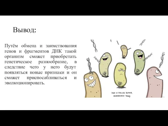 Вывод: Путём обмена и заимствования генов и фрагментов ДНК такой организм сможет