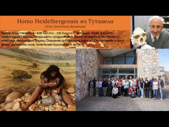 Homo Heidelbergensis из Тутавеля (Юго-Воточная Франция) Время существования – 800 тыс.л.н. -