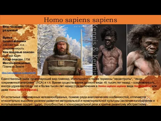 Homo sapiens sapiens Вид: Человек разумный Время существования 200-160 тыс. л.н. -