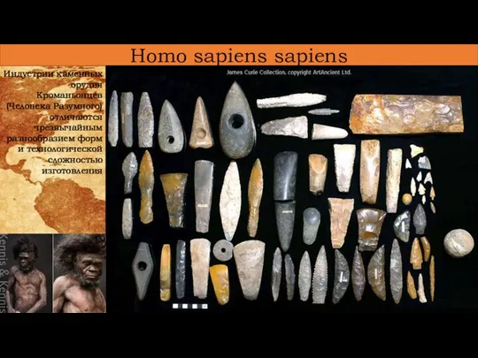 Homo sapiens sapiens Индустрии каменных орудия Кроманьонцев (Человека Разумного) отличаются чрезвычайным разнообразием