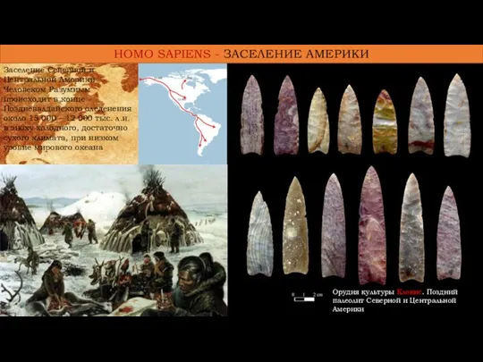 Орудия культуры Кловис. Поздний палеолит Северной и Центральной Америки Заселение Северной и