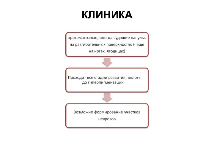 КЛИНИКА