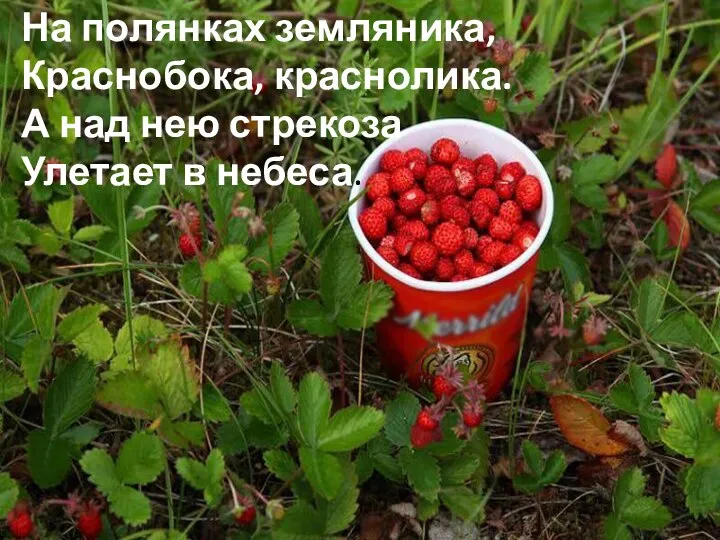 На полянках земляника, Краснобока, краснолика. А над нею стрекоза Улетает в небеса.