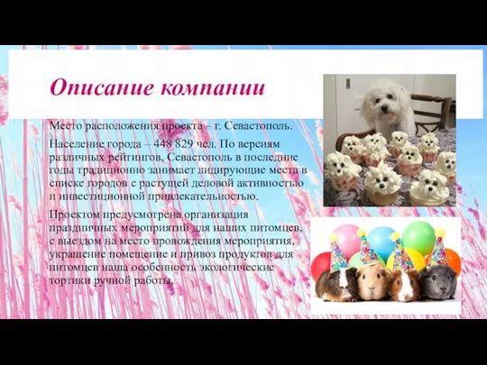 Описание компании Место расположения проекта – г. Севастополь. Население города – 448