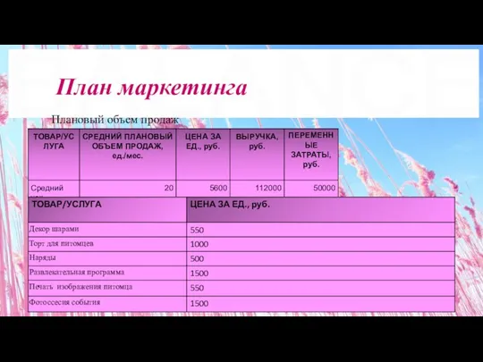 Плановый объем продаж План маркетинга