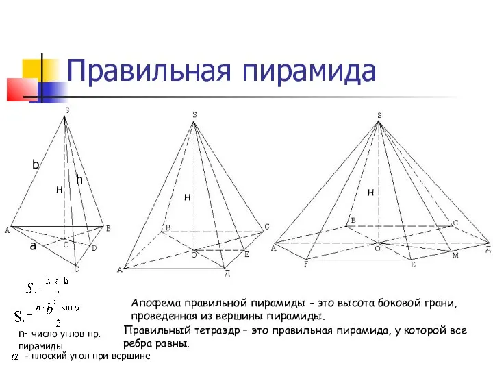 Правильная пирамида Правильная пирамида – это пирамида, у которой в основании лежит