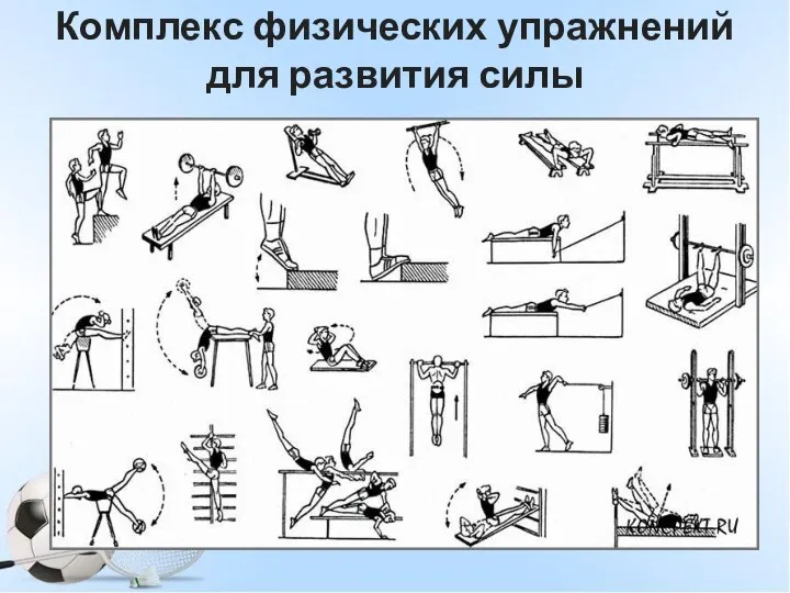 Комплекс физических упражнений для развития силы