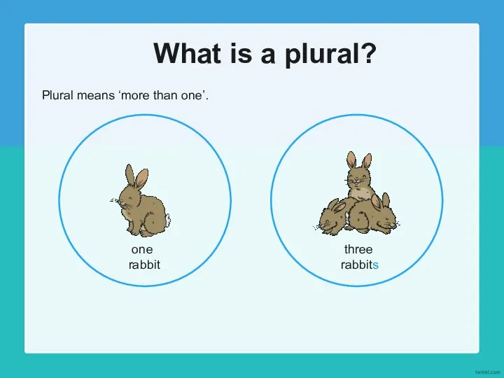 What is a plural? Plural means ‘more than one’. one rabbit three rabbits