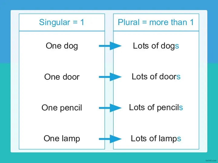 Singular = 1 One dog Plural = more than 1 One door