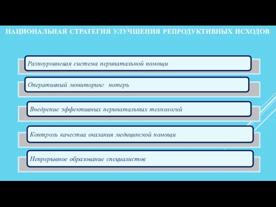 НАЦИОНАЛЬНАЯ СТРАТЕГИЯ УЛУЧШЕНИЯ РЕПРОДУКТИВНЫХ ИСХОДОВ Разноуровневая система перинатальной помощи Оперативный мониторинг потерь