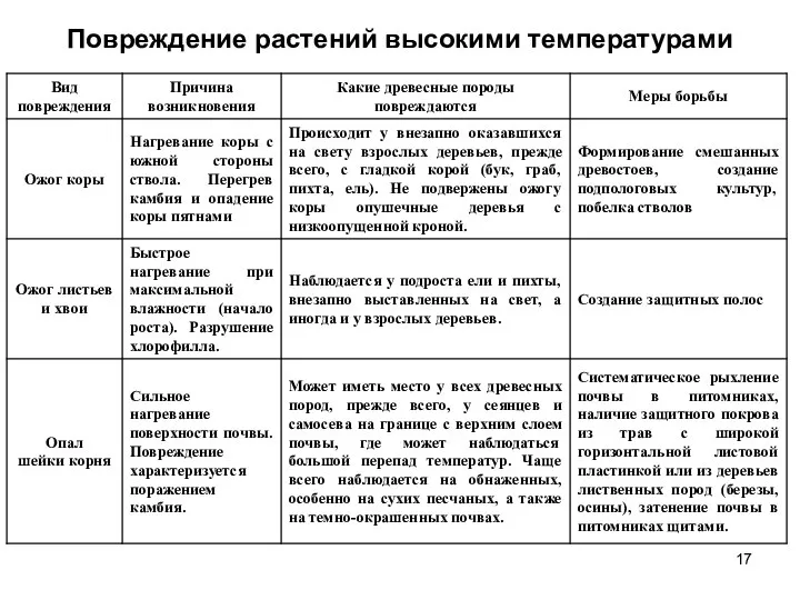 Повреждение растений высокими температурами