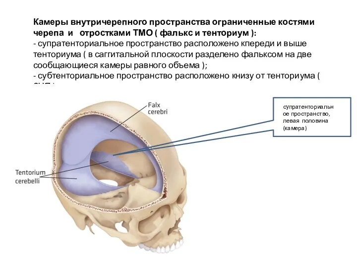 Камеры внутричерепного пространства ограниченные костями черепа и отростками ТМО ( фалькс и
