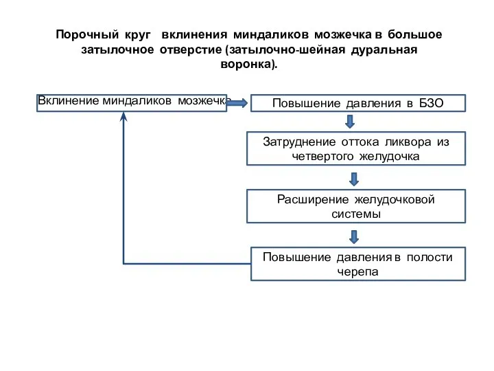 Порочный круг вклинения миндаликов мозжечка в большое затылочное отверстие (затылочно-шейная дуральная воронка).