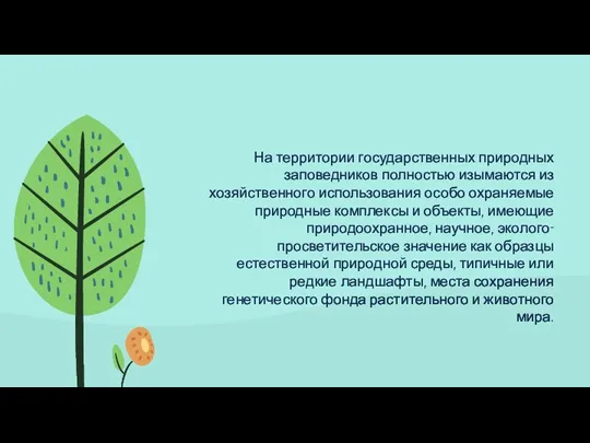 На территории государственных природных заповедников полностью изымаются из хозяйственного использования особо охраняемые