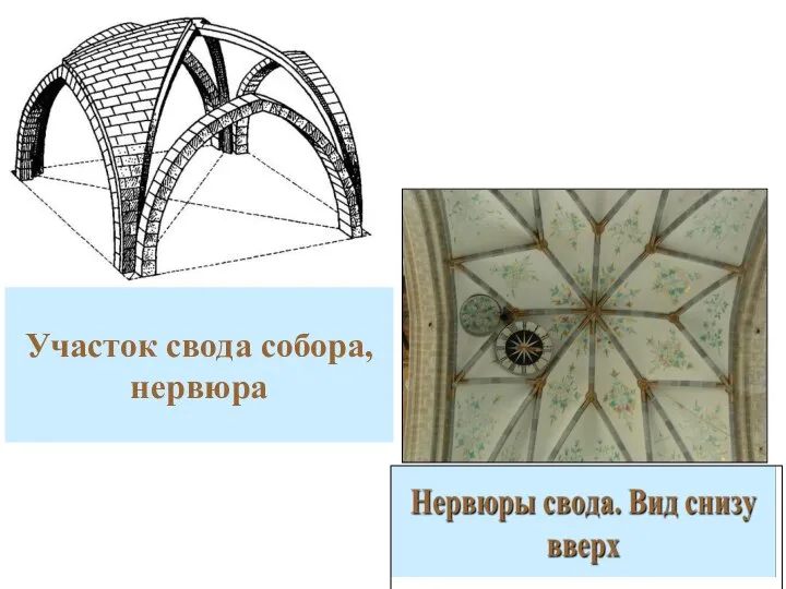 Участок свода собора, нервюра