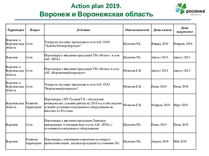 Action plan 2019. Воронеж и Воронежская область