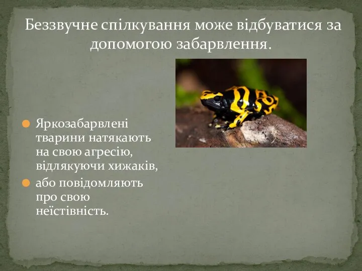 Яркозабарвлені тварини натякають на свою агресію, відлякуючи хижаків, або повідомляють про свою