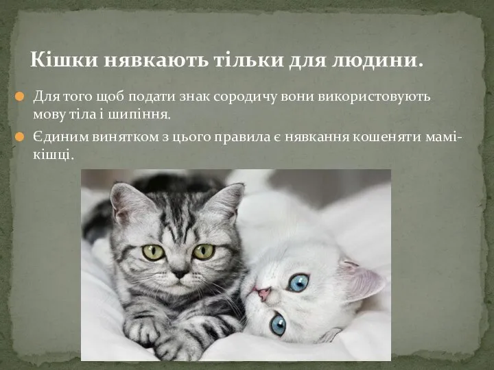 Для того щоб подати знак сородичу вони використовують мову тіла і шипіння.