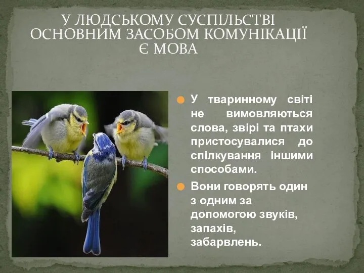 У тваринному світі не вимовляються слова, звірі та птахи пристосувалися до спілкування