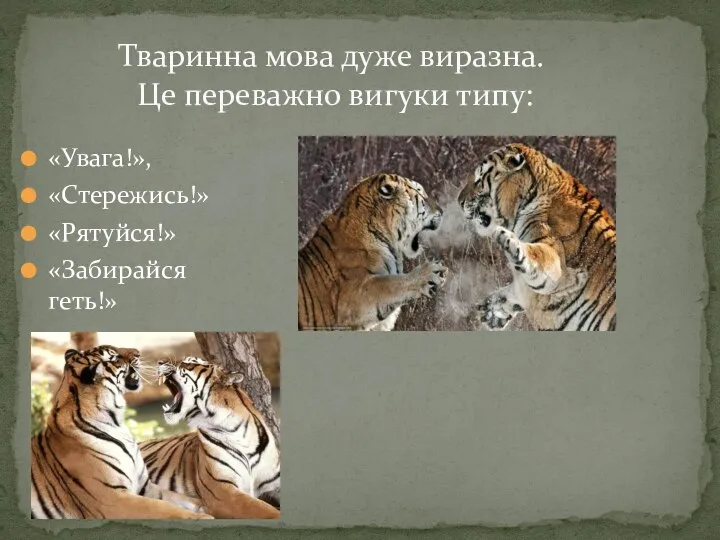 «Увага!», «Стережись!» «Рятуйся!» «Забирайся геть!» Тваринна мова дуже виразна. Це переважно вигуки типу: