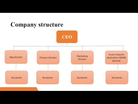 Company structure CEO App director Finance director Marketing director Social network promotion