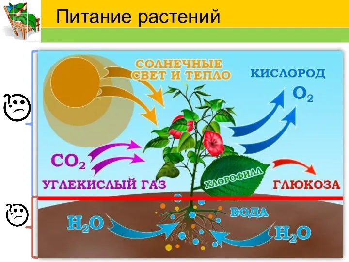 Питание растений