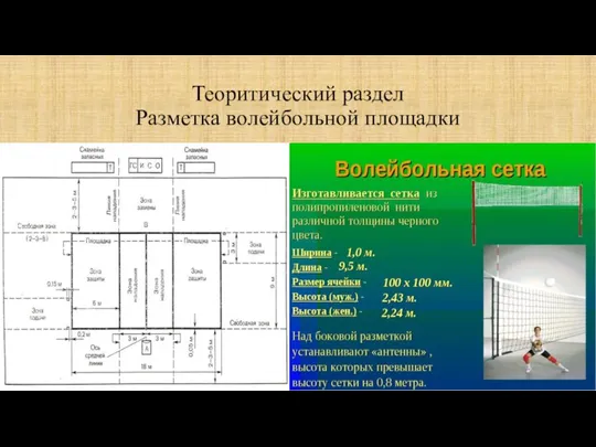 Теоритический раздел Разметка волейбольной площадки