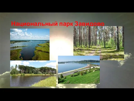 Национальный парк Завидово