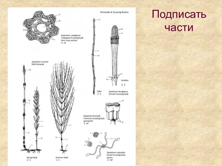 Подписать части