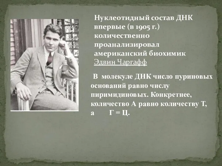 В молекуле ДНК число пуриновых оснований равно числу пиримидиновых. Конкретнее, количество А