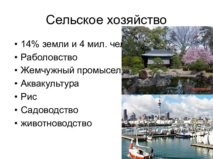 Сельское хозяйство 14% земли и 4 мил. чел. Раболовство Жемчужный промысел Аквакультура Рис Садоводство животноводство