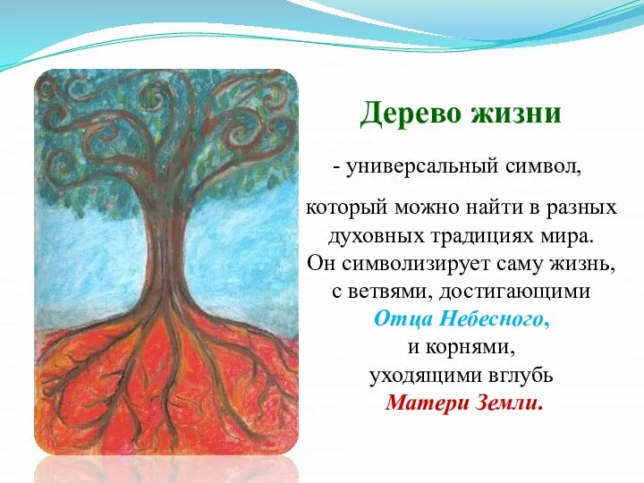 Дерево жизни универсальный символ, который можно найти в разных духовных традициях мира.