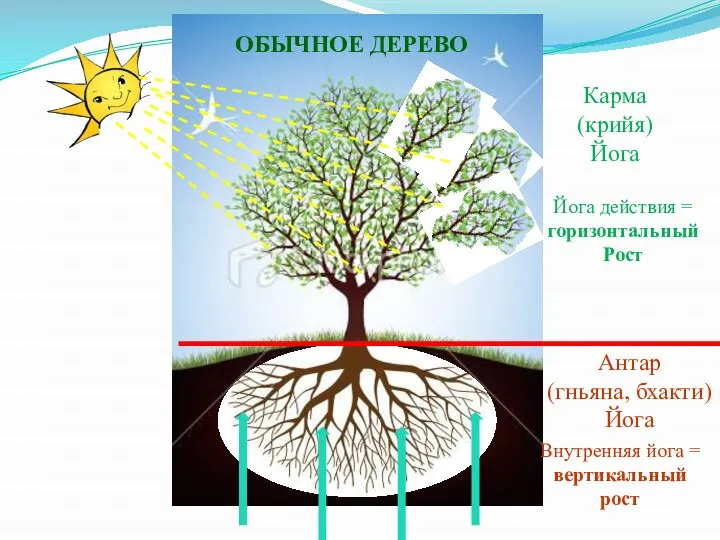 Карма (крийя) Йога Антар (гньяна, бхакти) Йога ОБЫЧНОЕ ДЕРЕВО Йога действия =