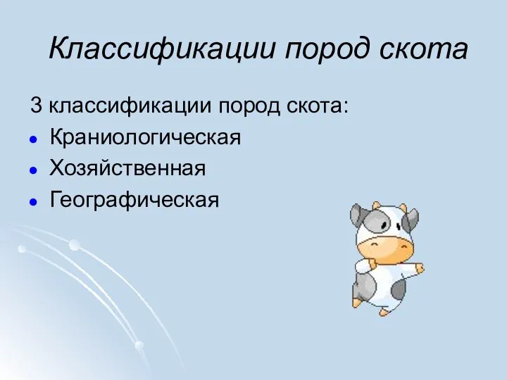 Классификации пород скота 3 классификации пород скота: Краниологическая Хозяйственная Географическая