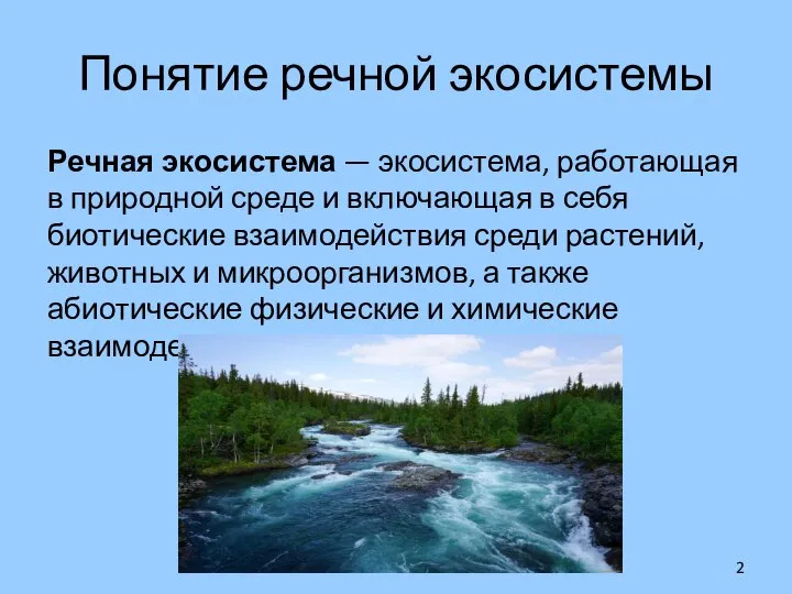 Понятие речной экосистемы Речная экосистема — экосистема, работающая в природной среде и