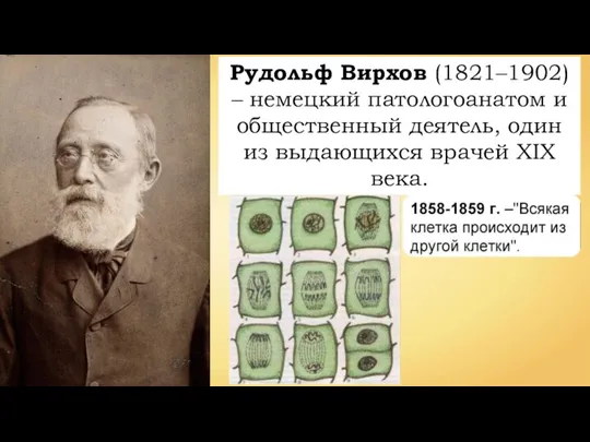 Рудольф Вирхов (1821–1902) – немецкий патологоанатом и общественный деятель, один из выдающихся врачей XIX века.