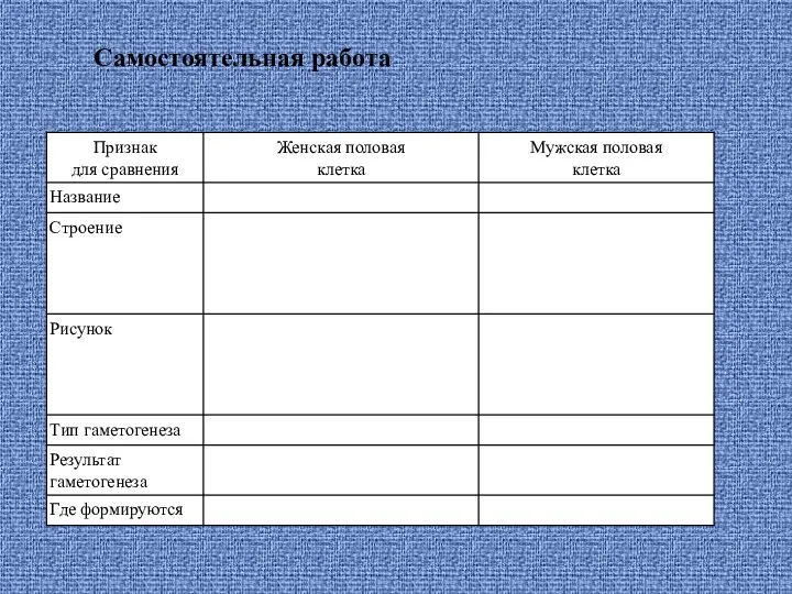 Самостоятельная работа