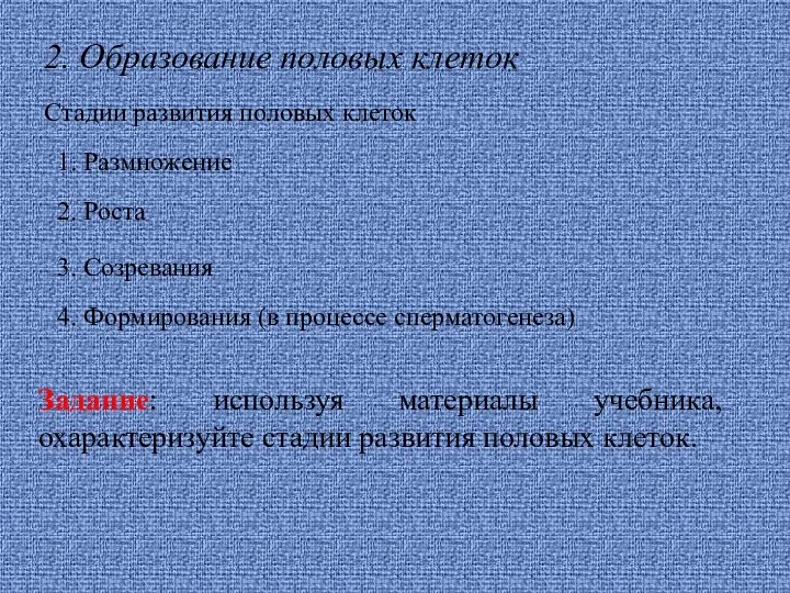 2. Образование половых клеток Стадии развития половых клеток 1. Размножение 2. Роста