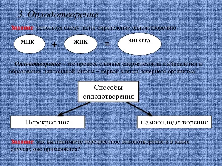 3. Оплодотворение Задание: используя схему дайте определение оплодотворению ЗИГОТА ЖПК МПК +