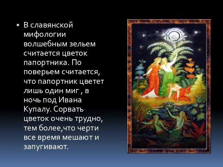 В славянской мифологии волшебным зельем считается цветок папортника. По поверьем считается, что