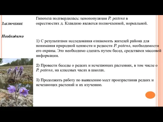 Заключение Необходимо Гипотеза подтвердилась: ценопопуляция P. patens в окрестностях д. Клавдино является