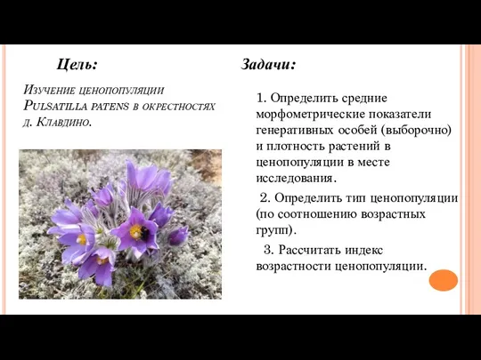 Задачи: 1. Определить средние морфометрические показатели генеративных особей (выборочно) и плотность растений