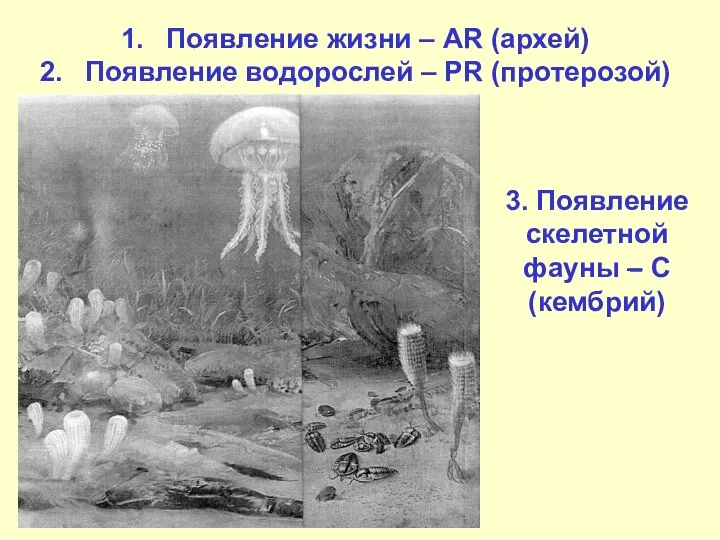 Появление жизни – AR (архей) Появление водорослей – PR (протерозой)