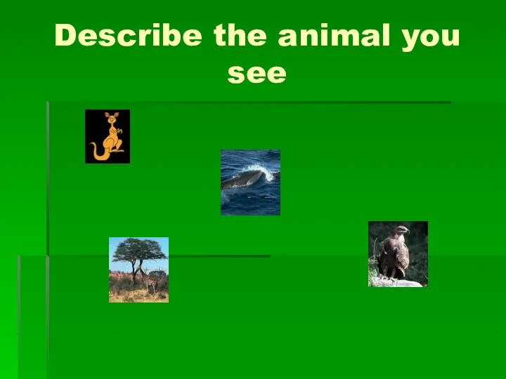 Describe the animal you see