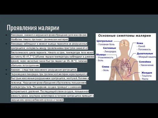 Проявления малярии Лихорадка, анемия и нарушения кровообращения (для всех форм). Наиболее тяжело