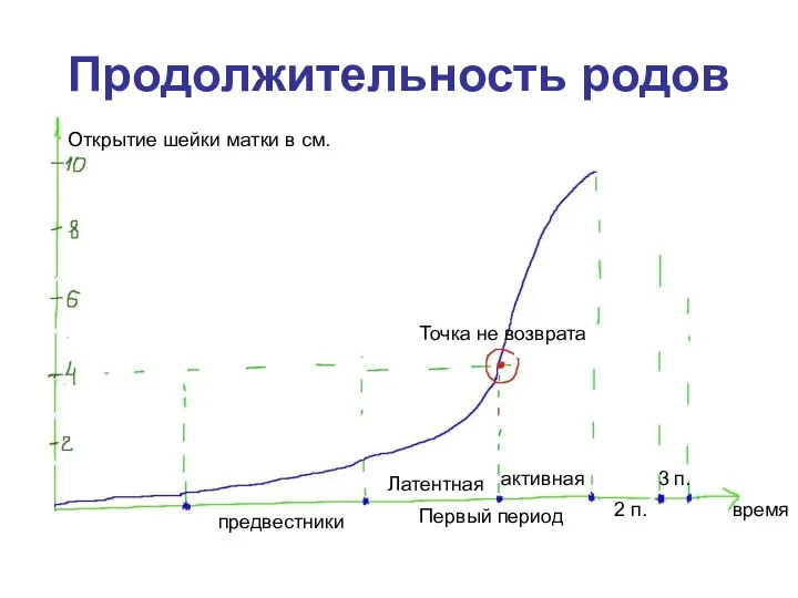 Продолжительность родов Первый период Латентная активная 2 п. 3 п. предвестники Точка